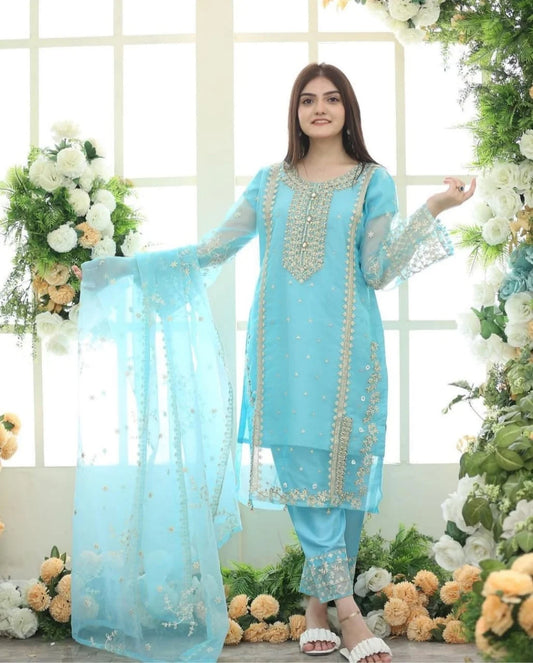 TEHZEEB Fancy Organza 3PC